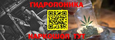 mdpv Краснознаменск