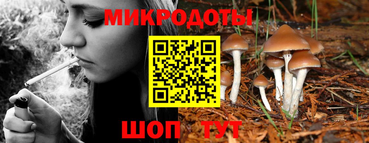 Кольчугино  Псилоцибиновые грибы Cubensis  Вход с VPN  Псилоцибиновые грибы GOLDEN TEACHER 