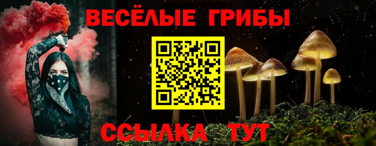 Галлюциногенные грибы GOLDEN TEACHER Кольчугино