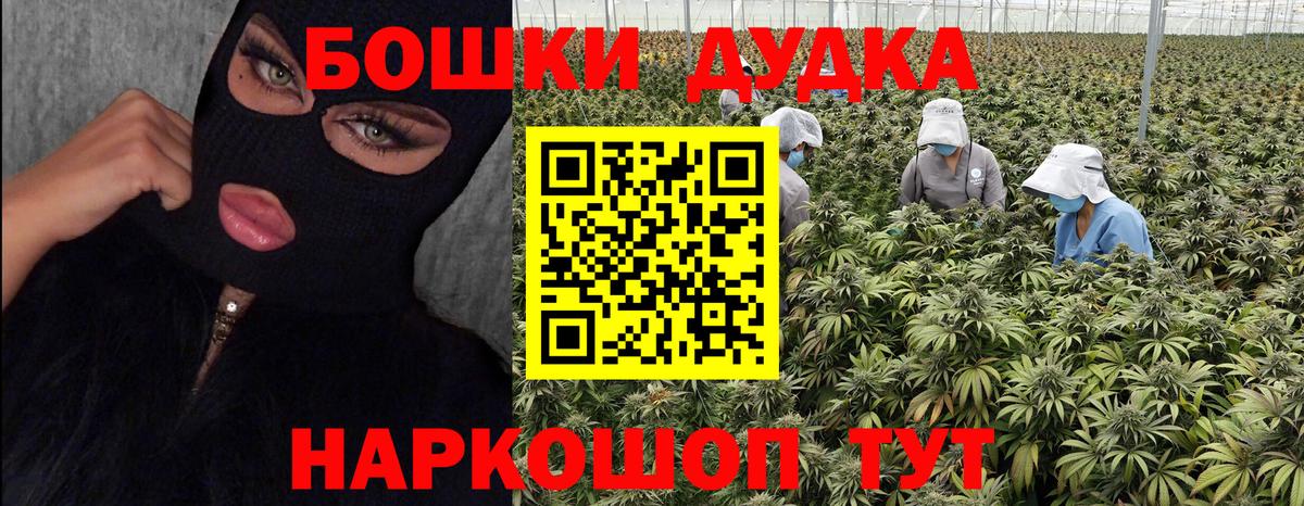 Конопля AK-47  Конопля Bruce Banner  Кольчугино  Вход с VPN 